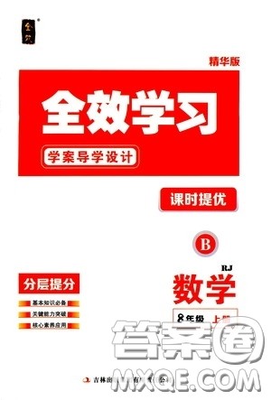 2020秋全效学习学案导学设计课时提优八年级数学上册人教版B精华版答案