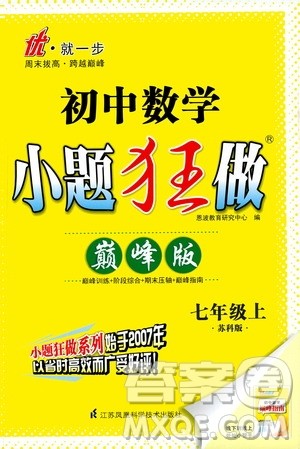 江苏凤凰科学技术出版社2020秋初中数学小题狂做巅峰版七年级上苏科版参考答案