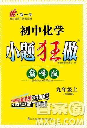 江苏凤凰科学技术出版社2020秋初中化学小题狂做巅峰版九年级上全国版参考答案
