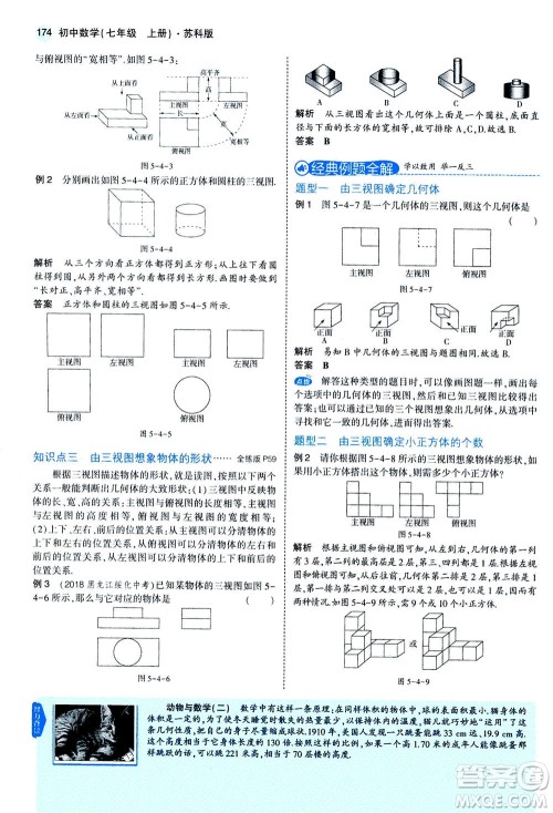 教育科学出版社2020秋5年中考3年模拟全解版初中数学七年级上册苏科版参考答案