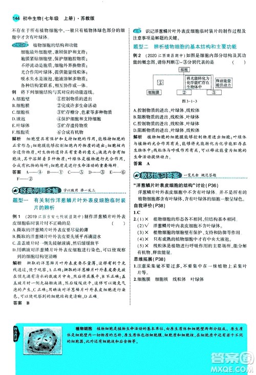 教育科学出版社2020秋5年中考3年模拟全解版初中生物七年级上册苏教版参考答案 教育科学出版社2020秋5年中考3年模拟全解版初中生物七年级上册苏教版参考答案