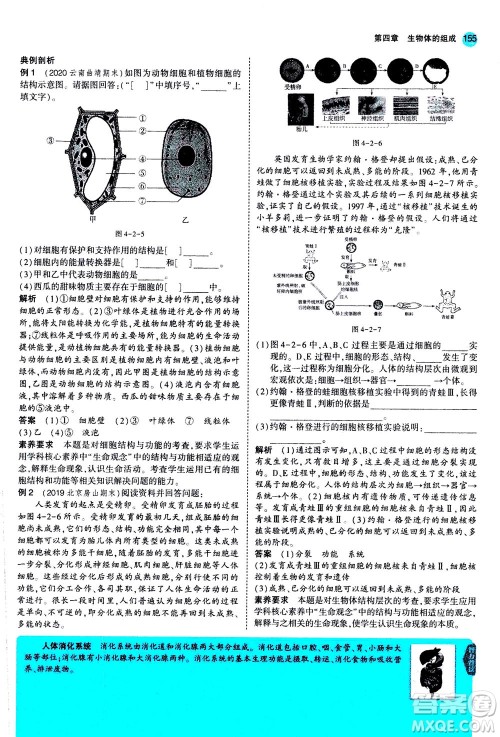教育科学出版社2020秋5年中考3年模拟全解版初中生物七年级上册苏教版参考答案 教育科学出版社2020秋5年中考3年模拟全解版初中生物七年级上册苏教版参考答案