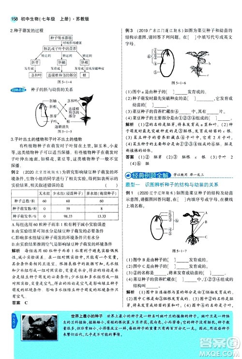 教育科学出版社2020秋5年中考3年模拟全解版初中生物七年级上册苏教版参考答案 教育科学出版社2020秋5年中考3年模拟全解版初中生物七年级上册苏教版参考答案