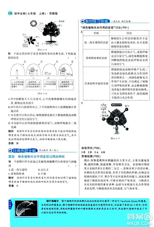 教育科学出版社2020秋5年中考3年模拟全解版初中生物七年级上册苏教版参考答案 教育科学出版社2020秋5年中考3年模拟全解版初中生物七年级上册苏教版参考答案