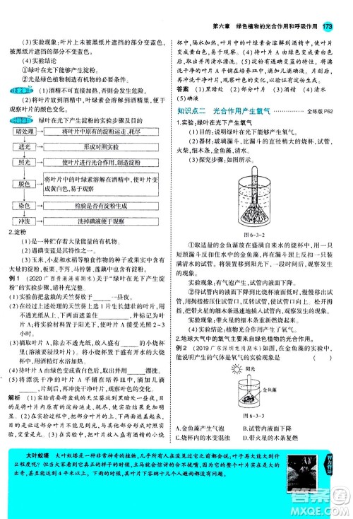 教育科学出版社2020秋5年中考3年模拟全解版初中生物七年级上册苏教版参考答案