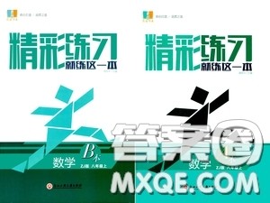浙江工商大学出版社2020精彩练习就练这一本数学八年级上册浙教版答案