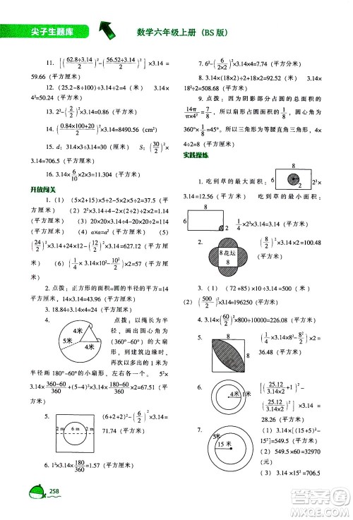 辽宁教育出版社2020秋尖子生题库数学六年级上册BS北师版参考答案