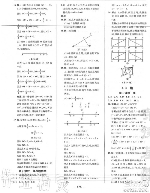 荣德基2020秋新版综合应用创新题典中点七年级数学上册人教版答案