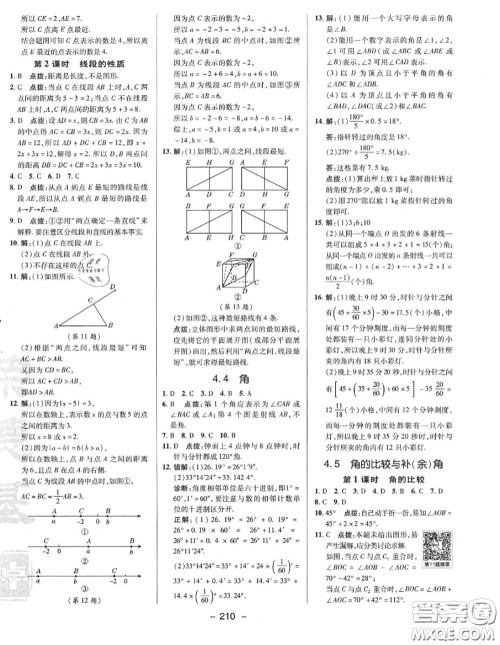 荣德基2020秋新版综合应用创新题典中点七年级数学上册沪科版答案