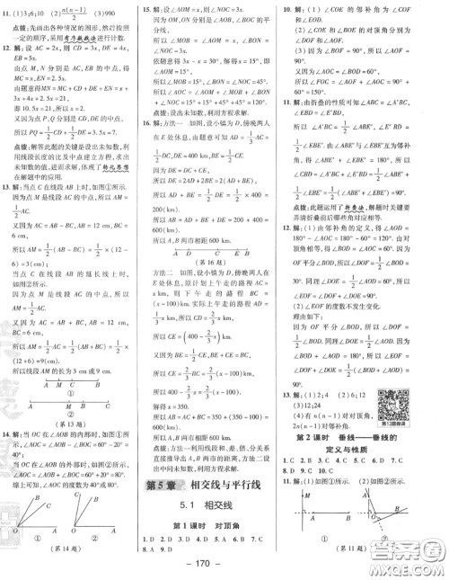 荣德基2020秋新版综合应用创新题典中点七年级数学上册华师版答案 荣德基2020秋新版综合应用创新题典中点七年级数学上册华师版答案