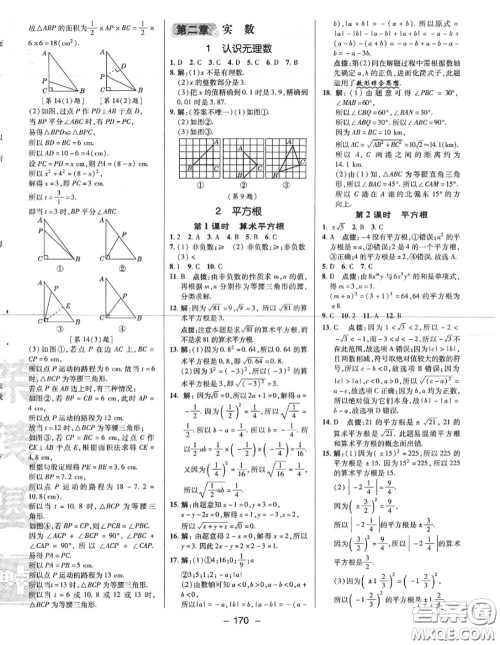荣德基2020秋新版综合应用创新题典中点八年级数学上册北师版答案