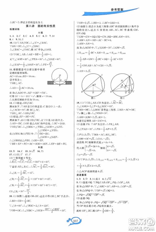 华东师范大学出版社2020走进重高培优讲义九年级数学全一册人教版A版答案