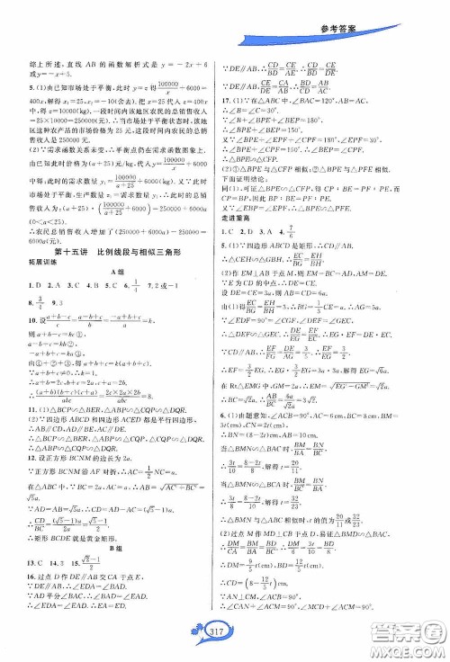 华东师范大学出版社2020走进重高培优讲义九年级数学全一册人教版A版答案