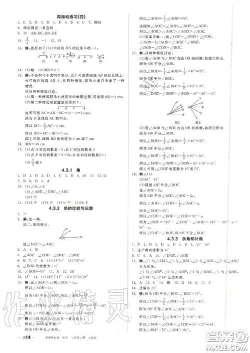 阳光出版社2020秋全品作业本七年级数学上册人教版答案