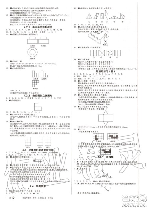阳光出版社2020秋全品作业本七年级数学上册华师版答案