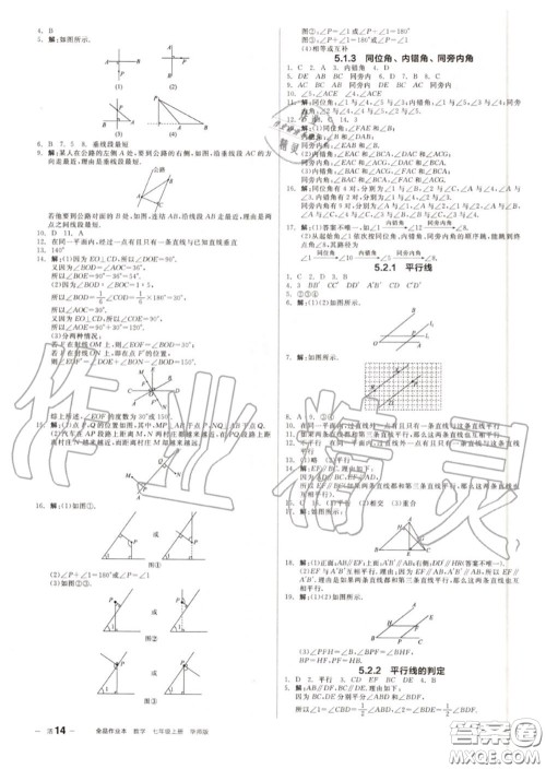 阳光出版社2020秋全品作业本七年级数学上册华师版答案