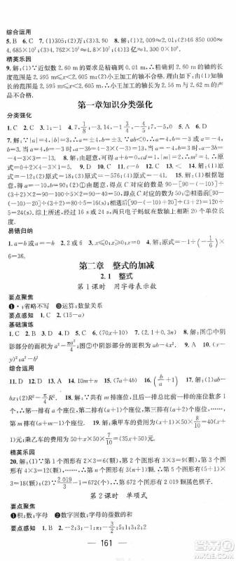 阳光出版社2020精英新课堂七年级数学上册人教版答案