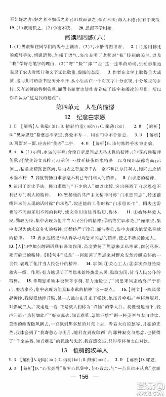 阳光出版社2020精英新课堂七年级语文上册人教版答案 阳光出版社2020精英新课堂七年级语文上册人教版答案