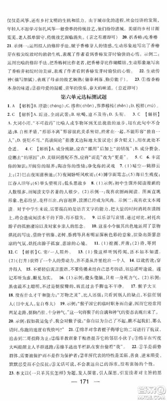 阳光出版社2020精英新课堂七年级语文上册人教版答案 阳光出版社2020精英新课堂七年级语文上册人教版答案