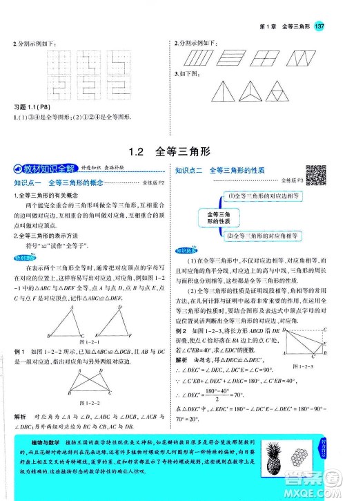 2020秋5年中考3年模拟全练版全解版初中数学八年级上册苏科版参考答案