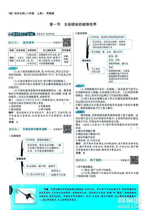 2020秋5年中考3年模拟全练版全解版初中生物八年级上册苏教版参考答案