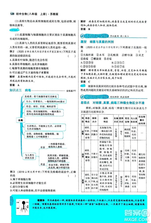 2020秋5年中考3年模拟全练版全解版初中生物八年级上册苏教版参考答案