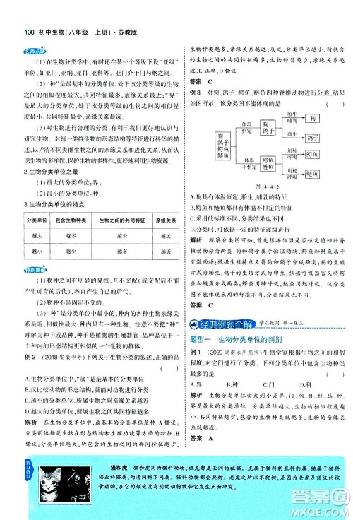 2020秋5年中考3年模拟全练版全解版初中生物八年级上册苏教版参考答案