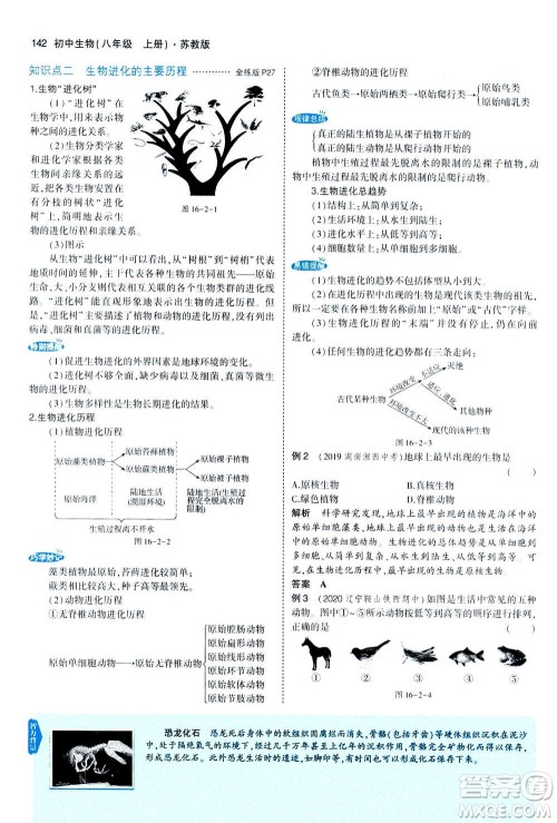 2020秋5年中考3年模拟全练版全解版初中生物八年级上册苏教版参考答案