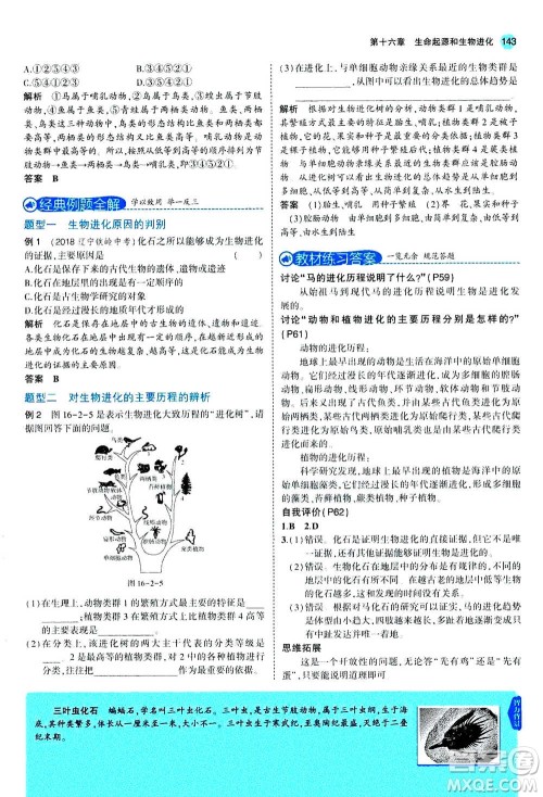 2020秋5年中考3年模拟全练版全解版初中生物八年级上册苏教版参考答案 2020秋5年中考3年模拟全练版全解版初中生物八年级上册苏教版参考答案