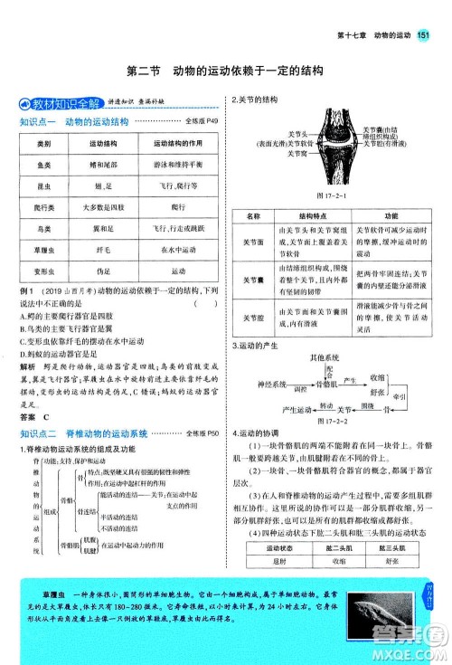 2020秋5年中考3年模拟全练版全解版初中生物八年级上册苏教版参考答案