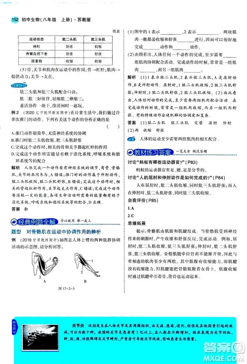 2020秋5年中考3年模拟全练版全解版初中生物八年级上册苏教版参考答案