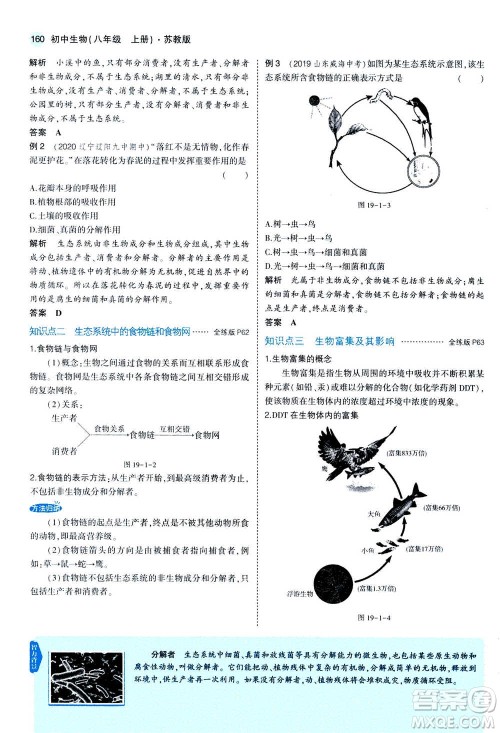 2020秋5年中考3年模拟全练版全解版初中生物八年级上册苏教版参考答案