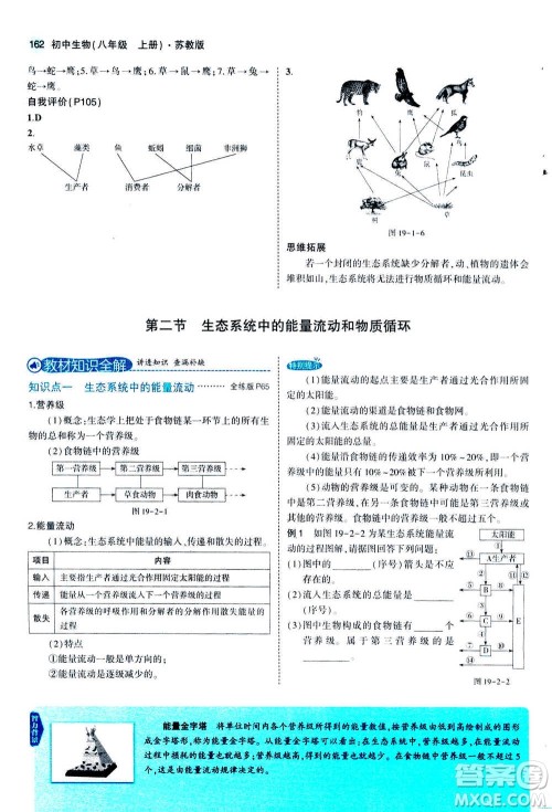 2020秋5年中考3年模拟全练版全解版初中生物八年级上册苏教版参考答案