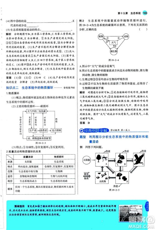 2020秋5年中考3年模拟全练版全解版初中生物八年级上册苏教版参考答案