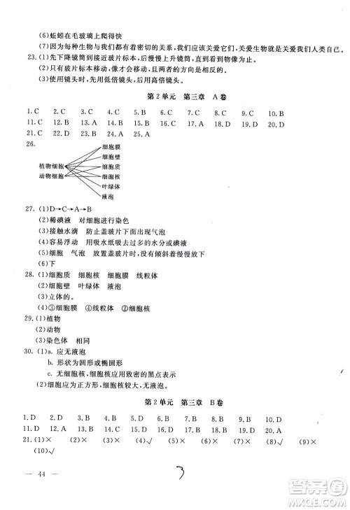 北京教育出版社2020年新课堂AB卷单元测试生物学七年级上江苏版参考答案