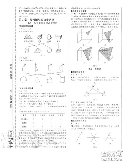 2020秋全科王同步课时练习七年级数学上册冀教版答案