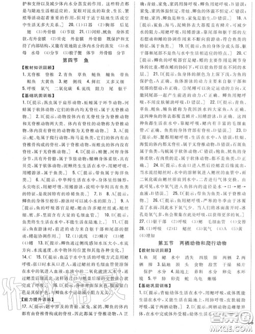 2020秋全科王同步课时练习八年级生物上册人教版答案