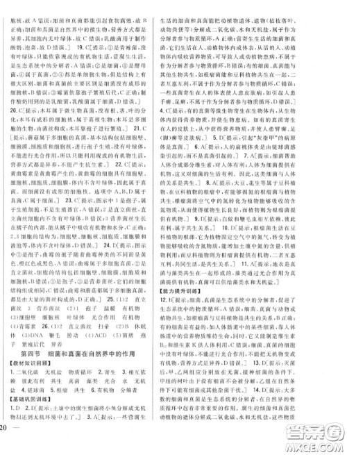 2020秋全科王同步课时练习八年级生物上册人教版答案