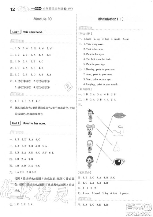 天星教育2020年秋一遍过小学英语三年级上册外研版答案