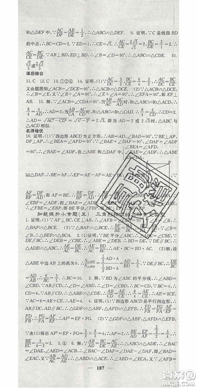 四川大学出版社2020秋名校课堂内外九年级数学上册沪科版答案