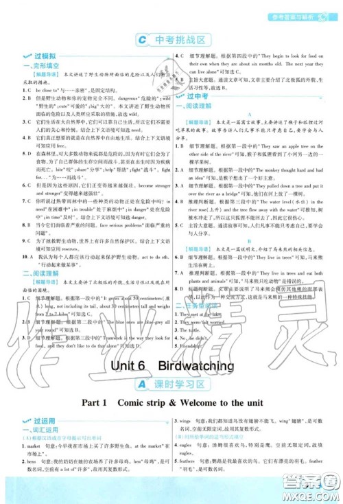 天星教育2020年秋一遍过初中英语八年级上册译林牛津版答案
