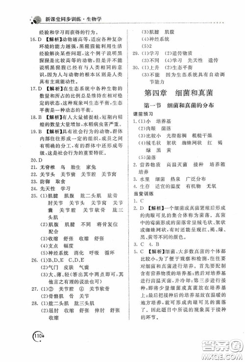 北京教育出版社2020新课堂同步训练八年级生物学上册人教版答案