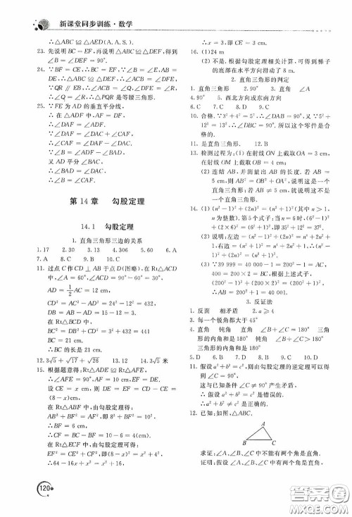 北京教育出版社2020新课堂同步训练八年级数学上册华东师大版答案