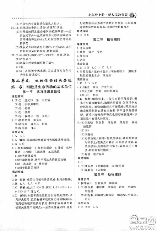 北京教育出版社2020新课堂同步训练七年级生物学上册人教版答案