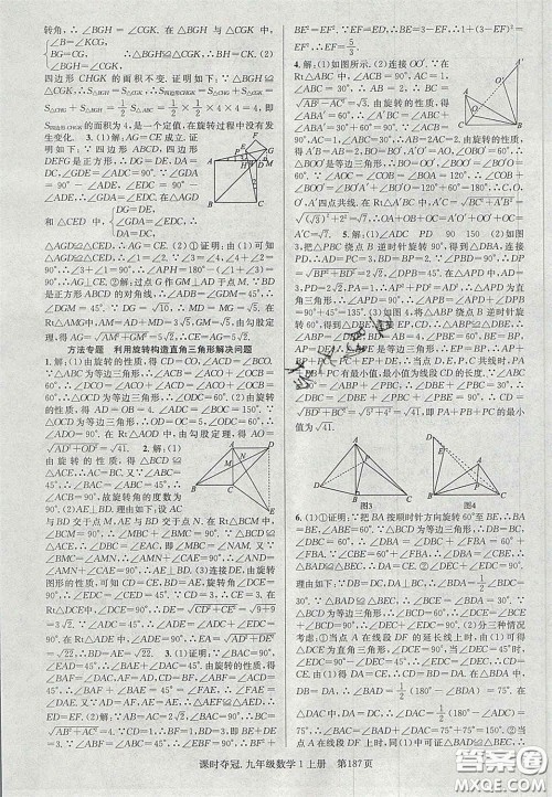 安徽师范大学出版社2020课时夺冠九年级数学上册人教版答案