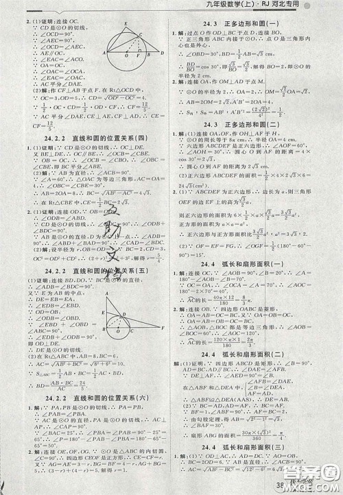 2020秋优加学案课时通九年级数学上册人教版河北专用答案 2020秋优加学案课时通九年级数学上册人教版河北专用答案