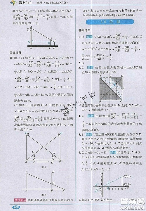 新疆青少年出版社2020教材1加1九年级数学上册湘教版答案 新疆青少年出版社2020教材1加1九年级数学上册湘教版答案