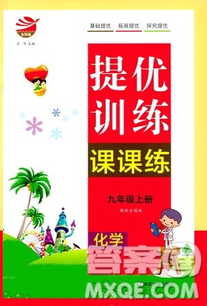 南京大学出版社2020年提优训练课课练九年级上册化学国标全国版答案