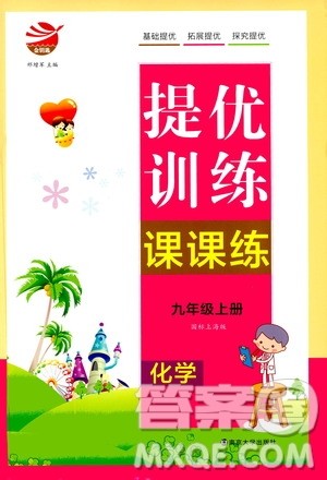 南京大学出版社2020年提优训练课课练九年级上册化学国标上海版答案