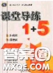 2020秋课堂导练1加5九年级数学上册人教版答案